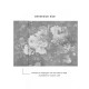 Affreschi & Affreschi | Giri | 45G-AA0303